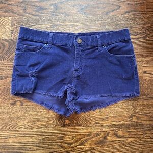 BDG Blue Distressed Corduroy Shorts Size 28